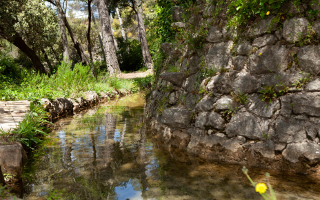 El manantial que nutre la piscina / alberca